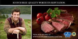 Free Beef Recipe Cookbook 300x150 Free Beef Recipe Cookbook