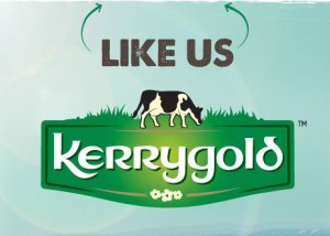 Free kerryGold Recipe Book from Rachel Allen Free kerryGold Recipe Book 300x214 Free kerryGold Recipe Book from Rachel Allen