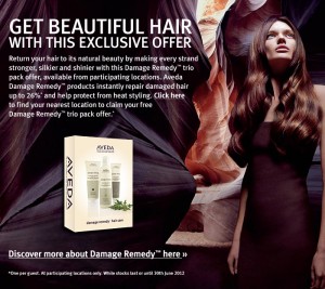 Free Aveda Damage Remedy Haircare Free Aveda Damage Remedy Haircare 300x267 Free Aveda Damage Remedy Haircare
