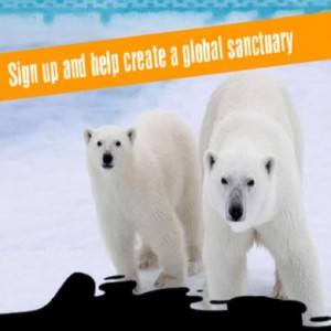 Free Pledge to Save The Arctic Free Pledge to Save The Arctic 300x300 Free Pledge to Save The Arctic