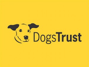 Free Microchipping For Dogs 300x225 Free Microchipping For Dogs