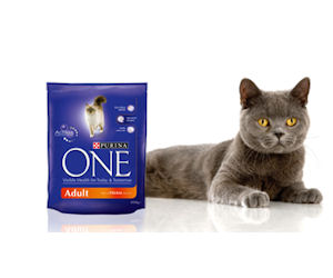 Free Purina Wet or Dry Food for Cats Free Purina Wet or Dry Food for Cats