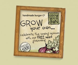 Free Pack of Parsley or Red Onion Seeds 300x248 Free Pack of Parsley or Red Onion Seeds