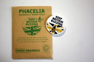 Free Phacelia Seeds 4 300x200 Free Phacelia Seeds