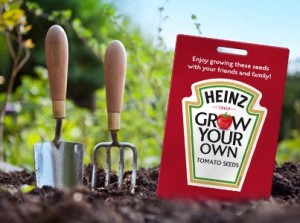 Free Tomato Seeds 300x223 Free Heinz Tomato Seed Packet