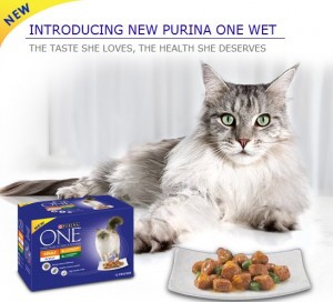 Free Wet or Dry Food for Cats 300x272 Free Wet or Dry Food for Cats