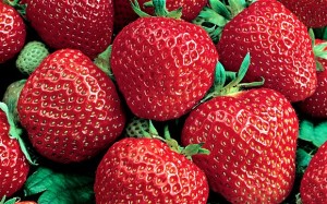 Free 6 Pack of Strawberry Plants 300x187 Free 6 Pack of Strawberry Plants