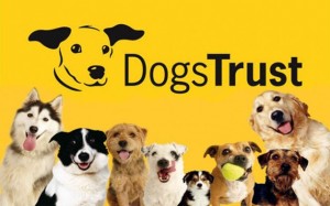 Free Donation to Dogs Trust Free Donation to Dogs Trust 300x187 Free Donation to Dogs Trust
