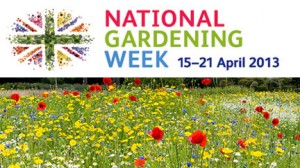 Free Wildflower Seeds 300x168 Free Wildflower Seeds
