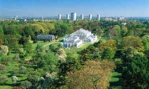 Free Entry to Kew Gardens Between Dec 22 and Jan 04