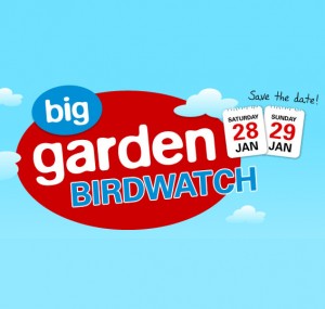 Free RSPB Big Garden Birdwatch Pack