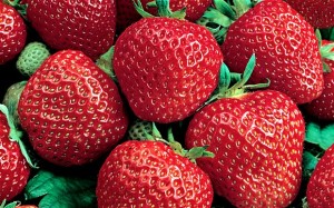 Free 6-Pack of Strawberry Plants