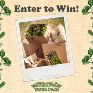 Win Seasonal Veg & Herb Seeds with Kettle Chips