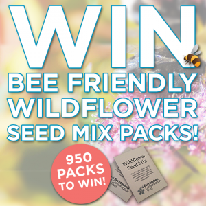 Free Packs of Bee-Friendly Wildflower Seeds
