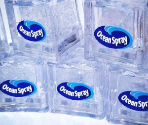 Free Reusable Ice Cubes