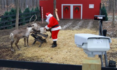 Watch Santa’s Reindeer for Free