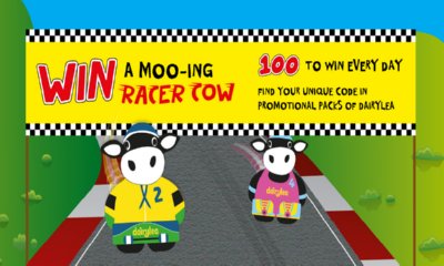 Free Dairylea Moo-ing Racing Cow Toy