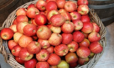 Free Zari Apples