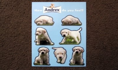 Free Andrex Puppy Stickers