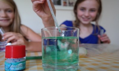 Free Science4You Experiment Kit