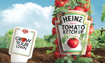 Free Heinz Tomato Seeds