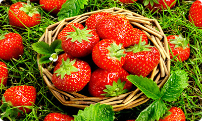 Free Strawberry Plant