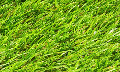 Free Artificial Grass