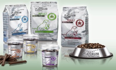 Free Dog Food Samples from Platinum