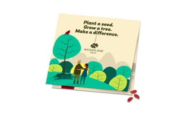 Free Tree Seeds from Woodland Trust