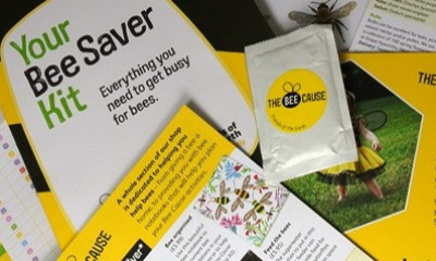 Free Bee Wildflower Seeds