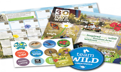 Free Wildlife Seeds, Poster & Stickers