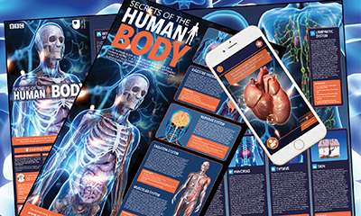 Free Secrets of the Human Body Poster