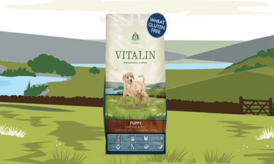 Free Vitalin Dog Food