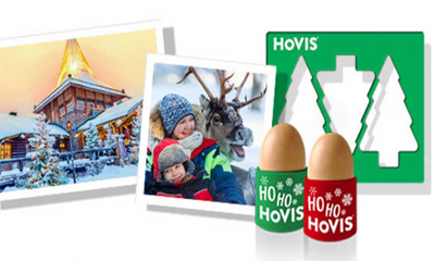 Free Hovis Egg Cups