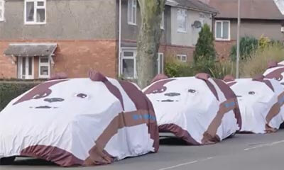 Win a Churchill Car Cover