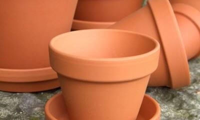 Free Terracotta Plant Pots