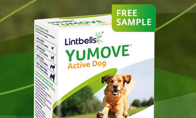 Free YuMove Acyive Dogs Supplement