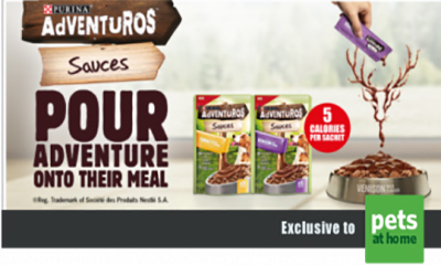 Free Adventuros Dog Food Sauce