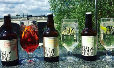 Free Bottle of Old Mout Cider