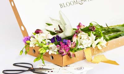 Free Box of Letterbox Flowers Every Month
