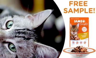 Free IAMS Cat Food