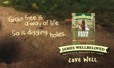 Free James Wellbeloved Dog Grain Free Wet Pouch