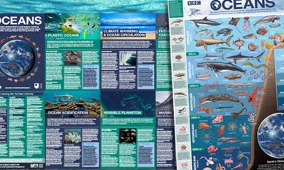 Free Blue Planet 2 Poster