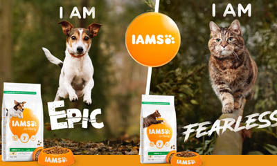 Free IAMS For Vitality Pet Food