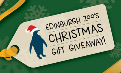 Win a Prize Bundle with Edinburgh Zoo