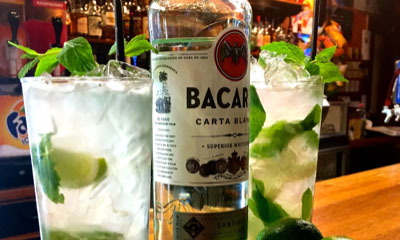 Free Bacardi Cocktail