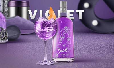 Free Bottle of Violet Gin