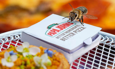 Free Wildflower Seeds from Papa John’s Pizza