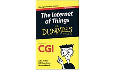 Free Internet for Dummies Book