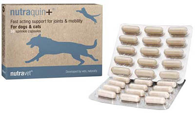 Free Dog Joint Capsules